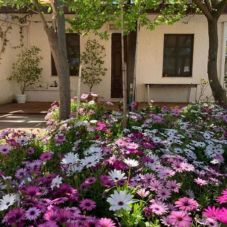 Sant'Andrea  Casa Tranquilla A Pochissimi Passi Dal Mare 빌라 외부 사진
