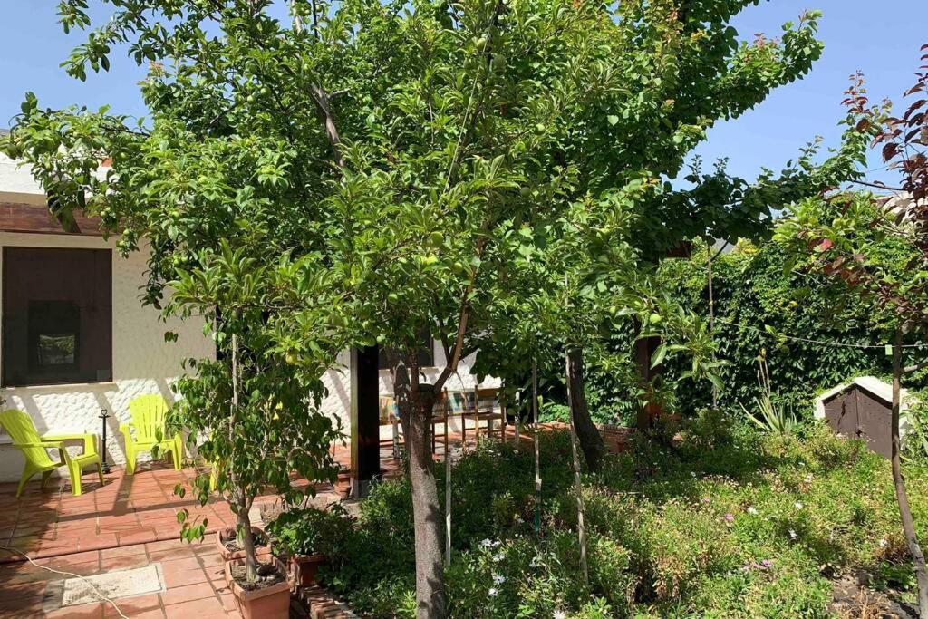 Sant'Andrea  Casa Tranquilla A Pochissimi Passi Dal Mare 빌라 외부 사진